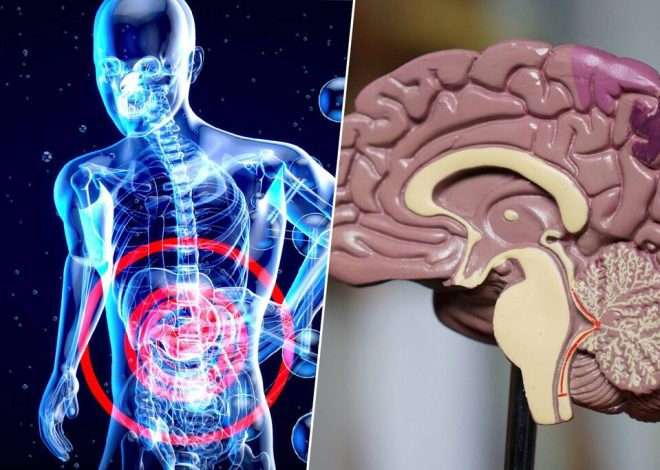 El cuerpo avisa del alzhéimer mucho antes que el cerebro. La pista está en el estómago